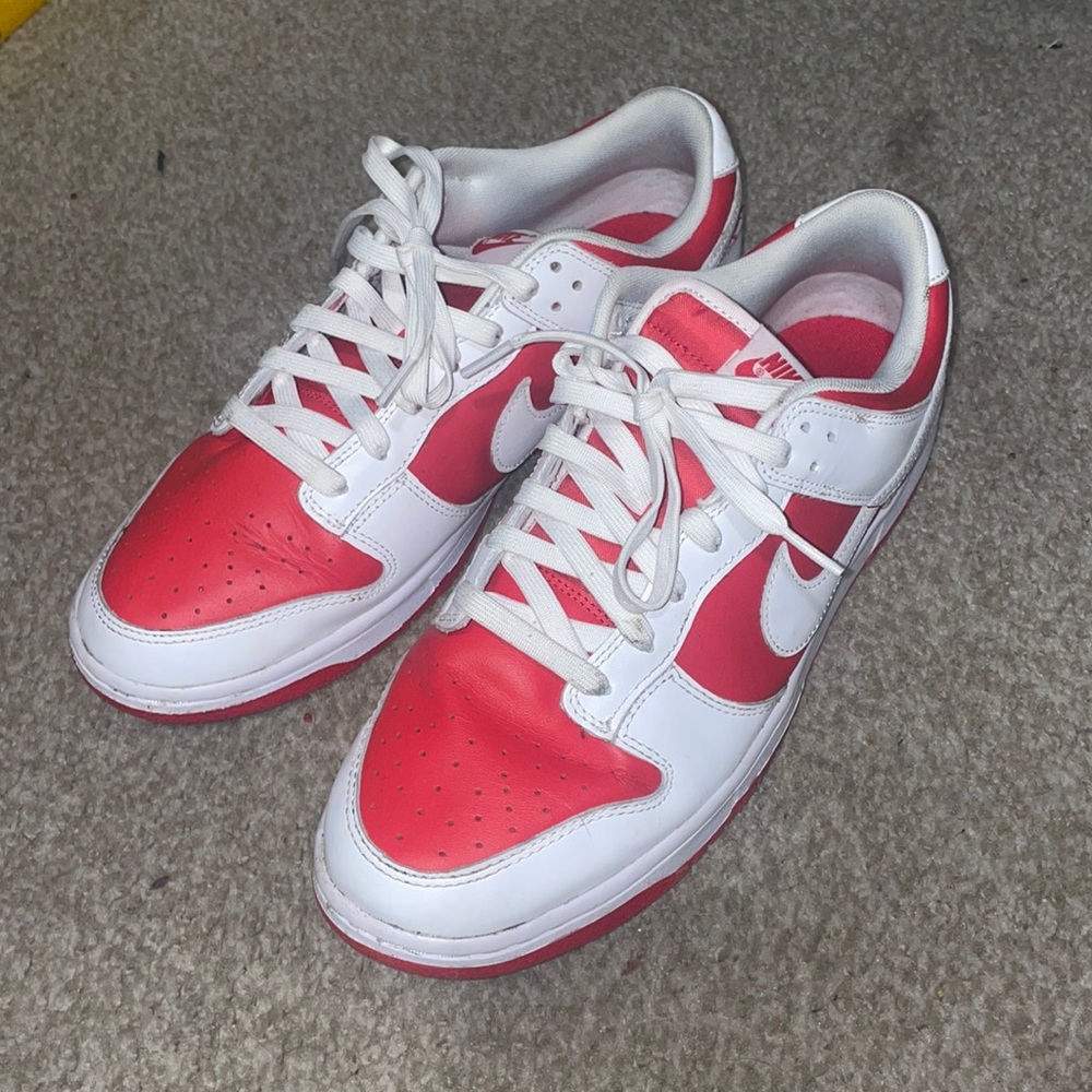 Men’s Champion Red Nike dunks